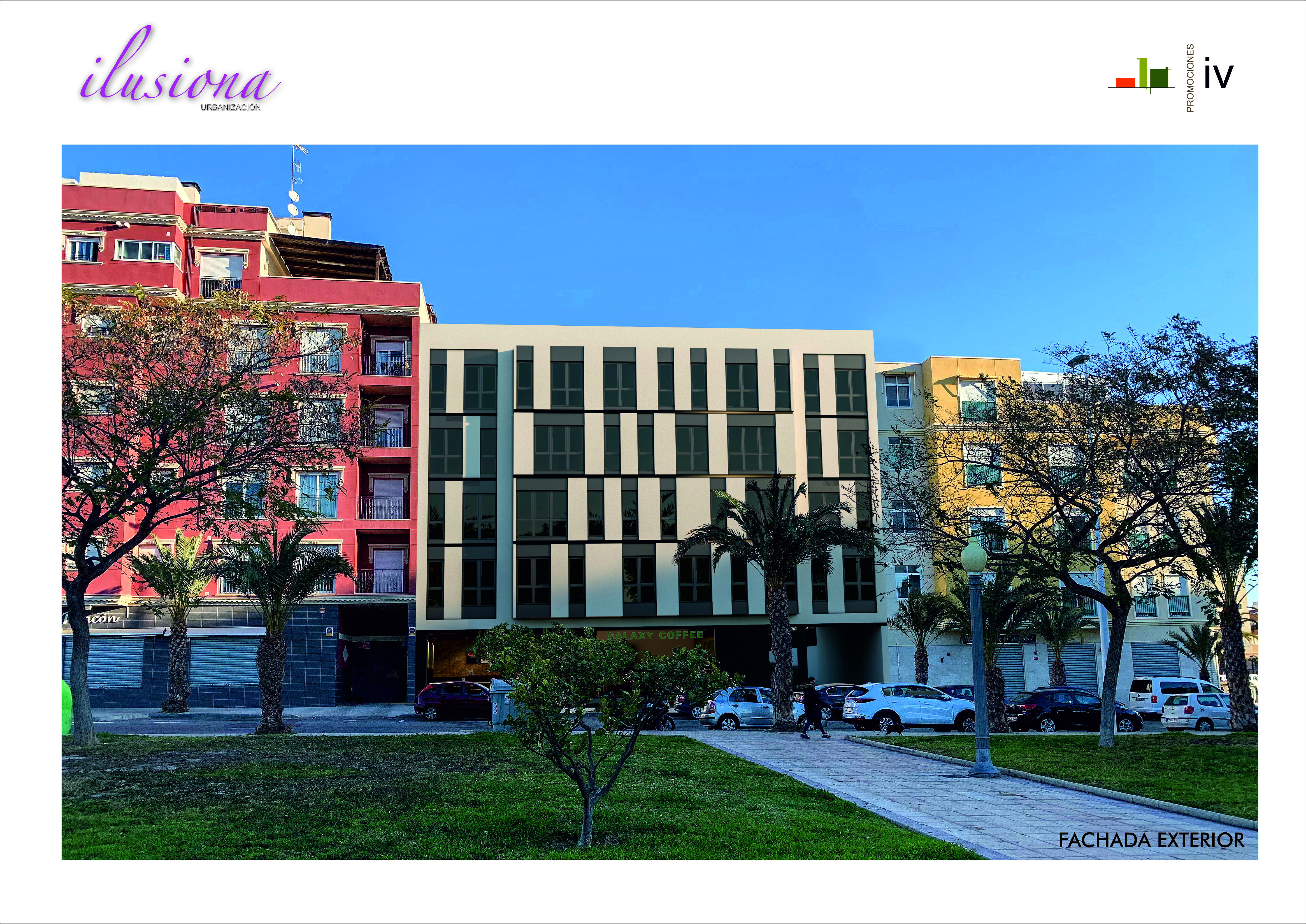 ILUSIONA ELCHE